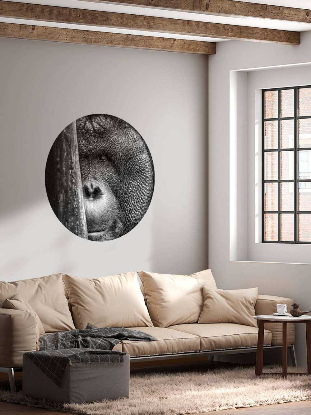 Orang-outan noir et blanc