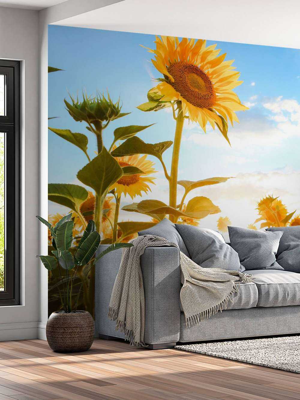 Tournesol avec ciel bleu