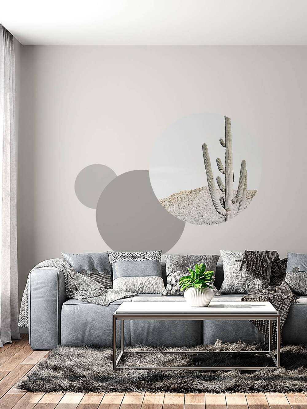 Le cactus haut