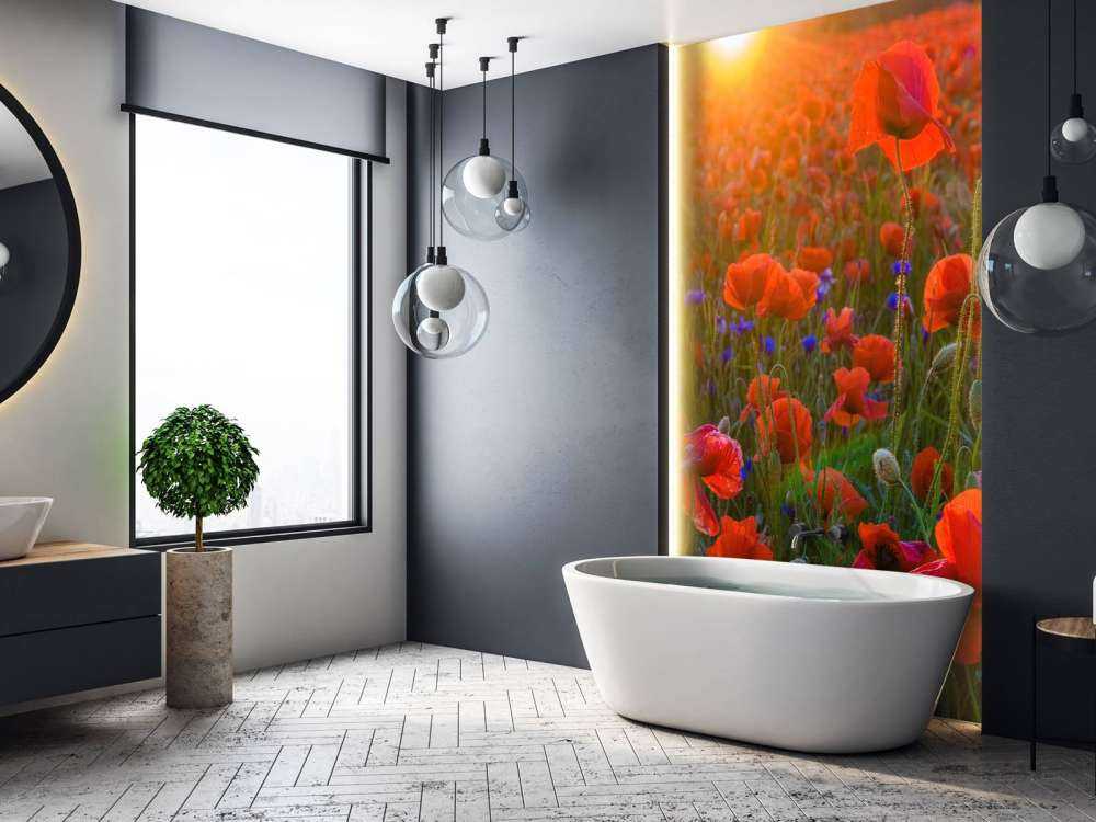 Des coquelicots au soleil levant