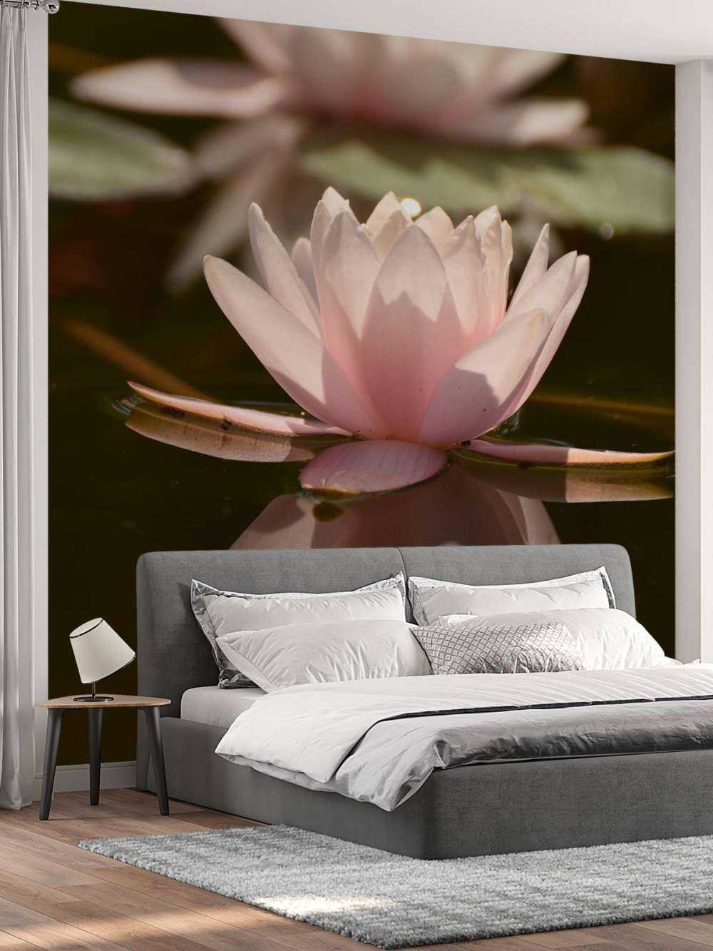 Fleur de lotus dans l'eau