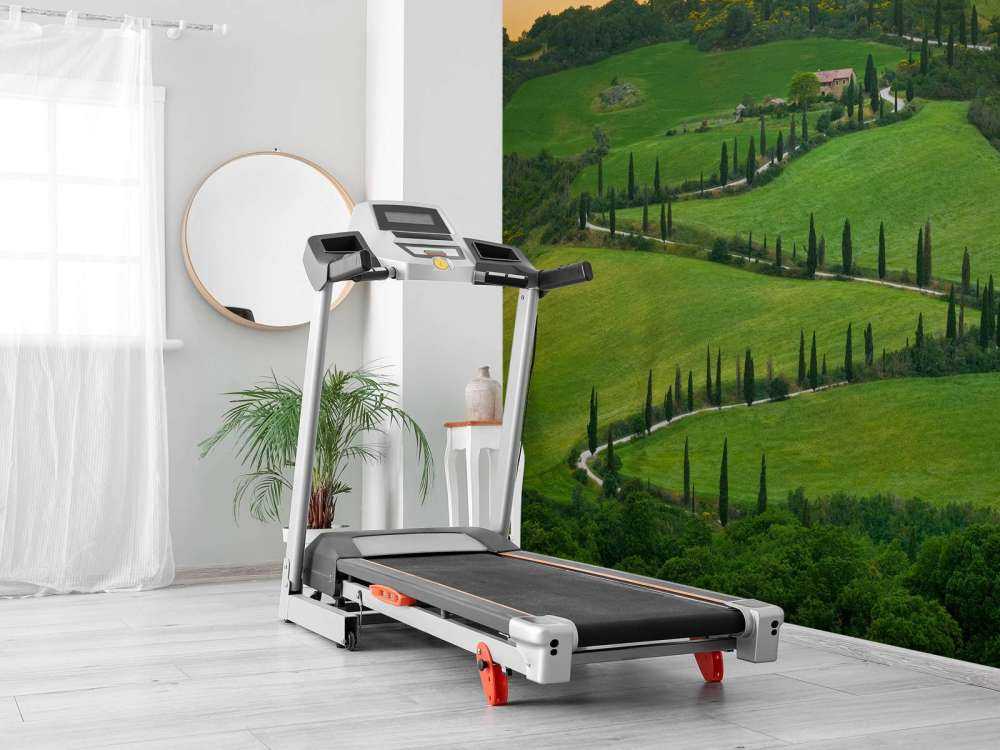 Route sinueuse avec des cyprès