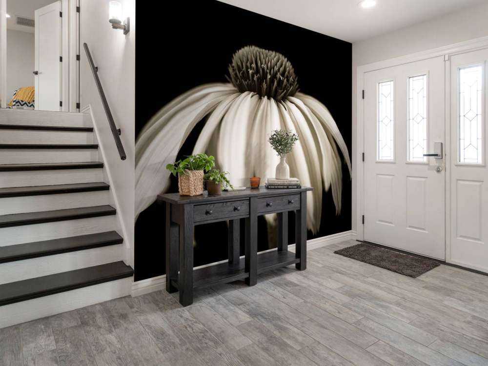 Fleur de cône en gros plan