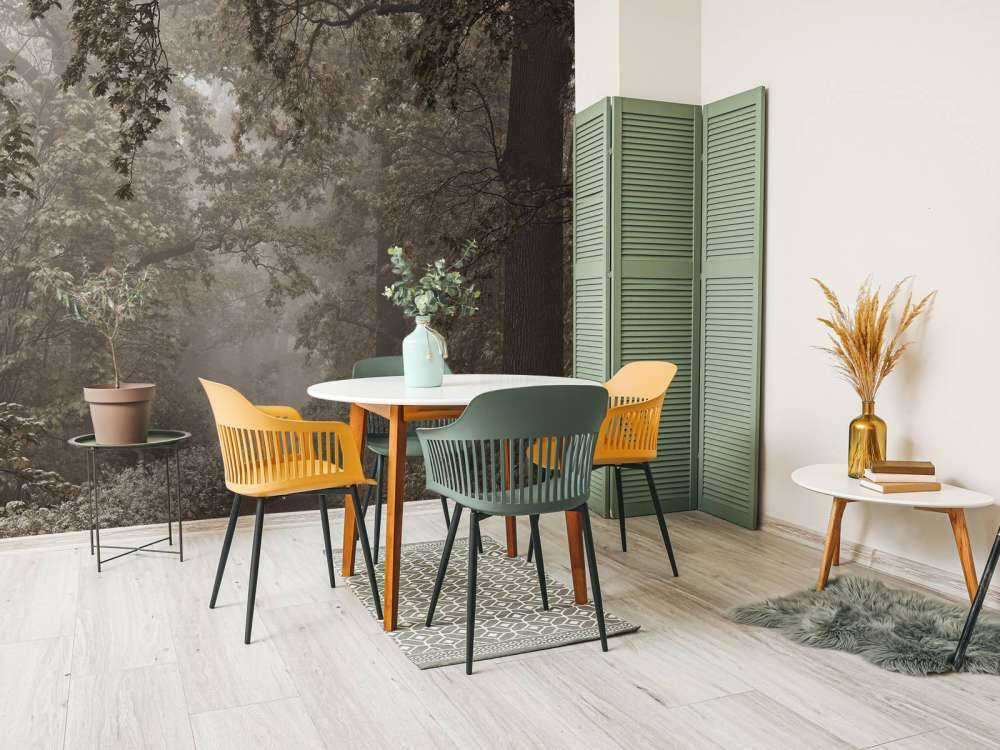 Chemin à travers la forêt brumeuse