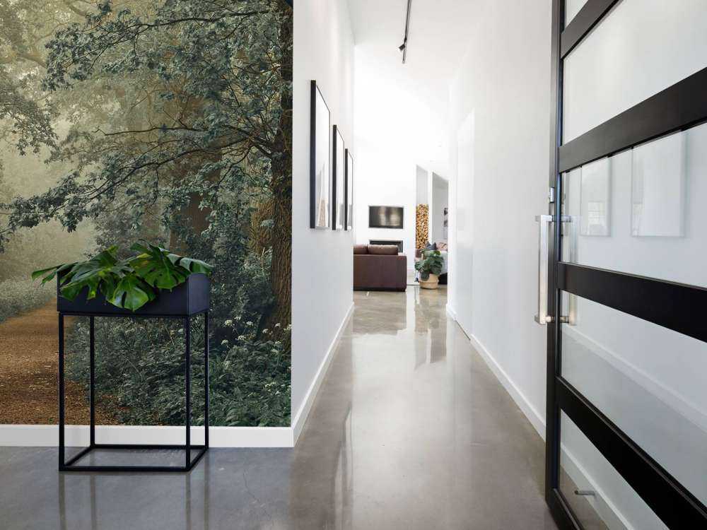 Chemin à travers la forêt avec du brouillard