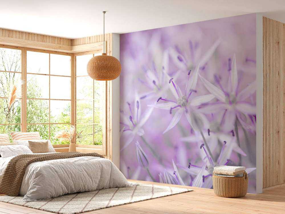 Fleurs d'allium en gros plan