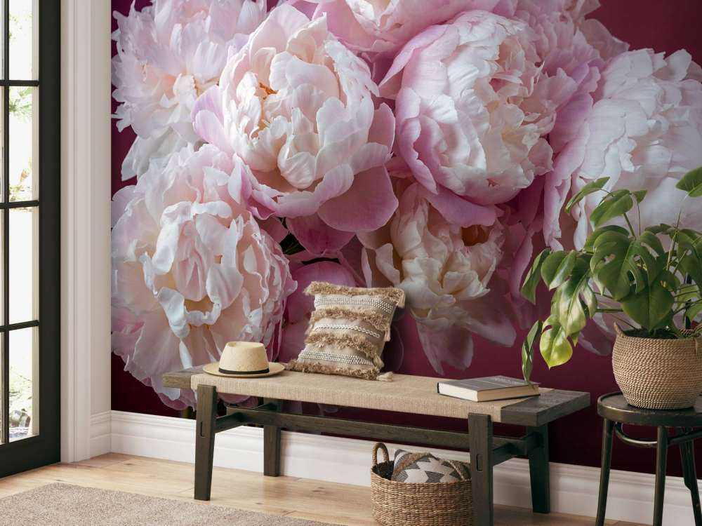 Bouquet de pivoines roses