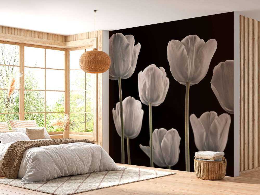 Différentes tulipes