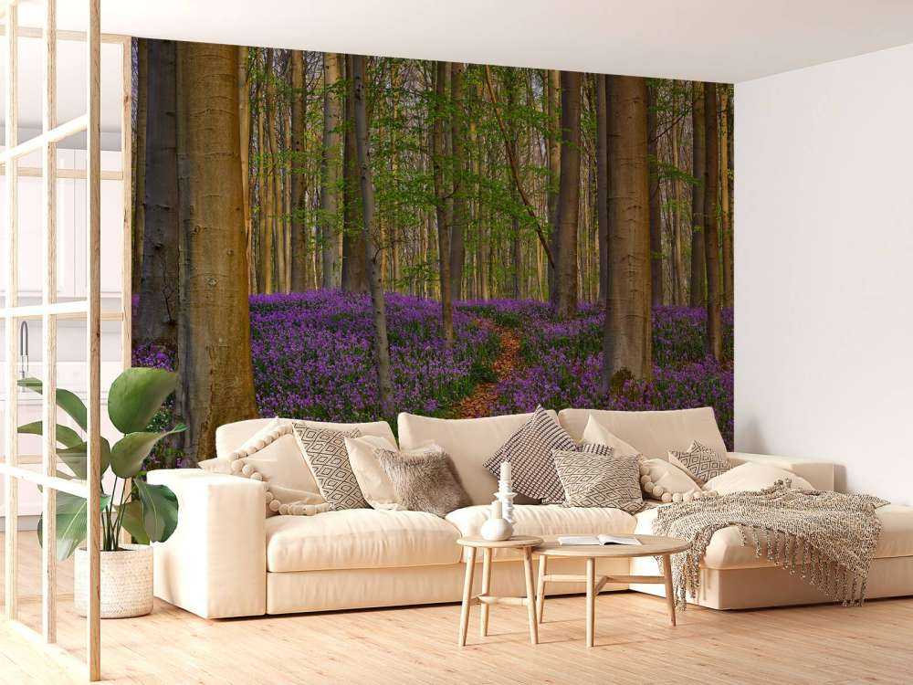 Joli chemin à travers la forêt