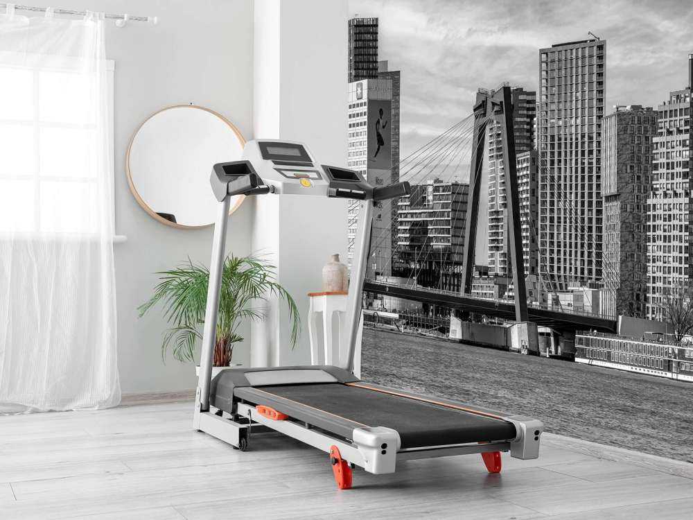 Skyline Noir-Blanc avec Willemsbrug