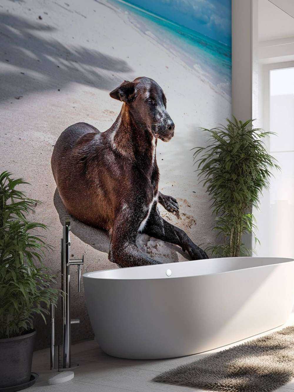 Chien noir sur une plage tropicale.