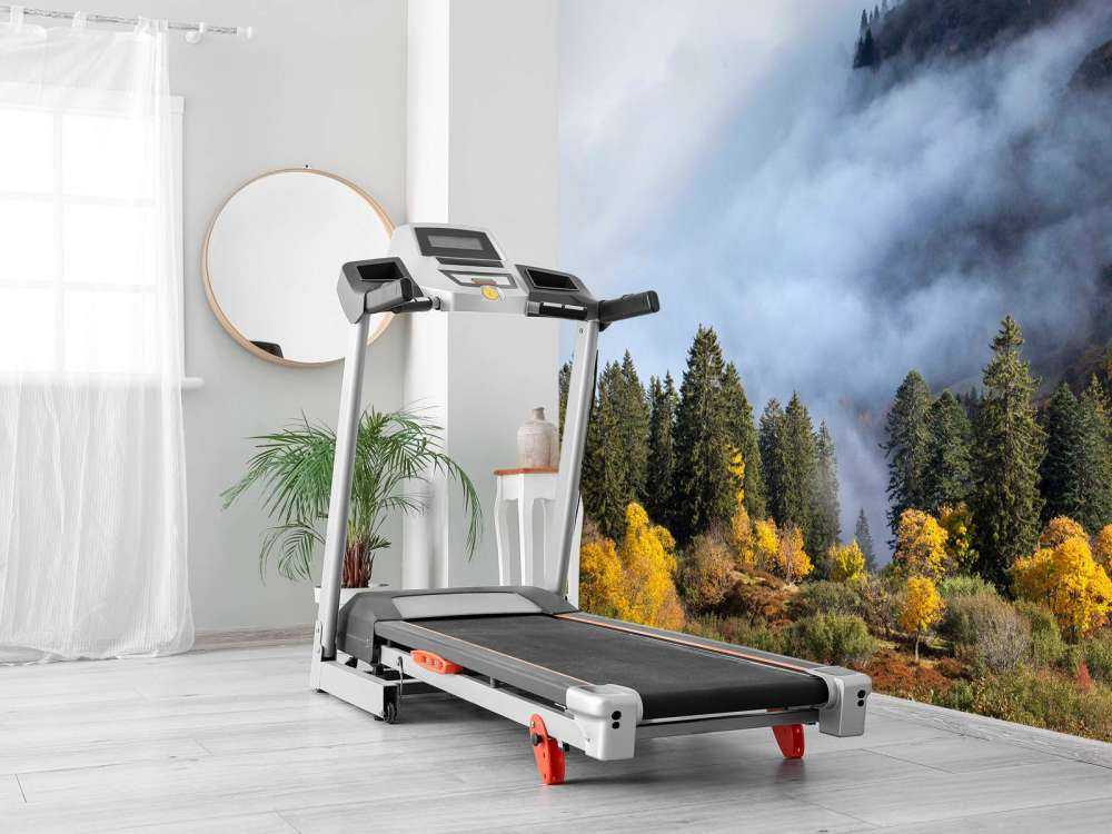 Matin d'automne dans la forêt de montagne brumeuse