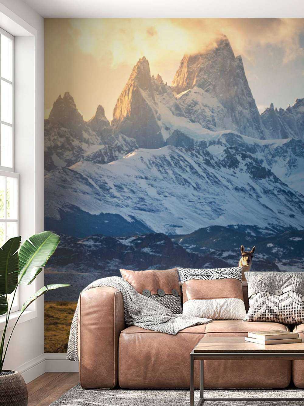 Guanaco en pleine lumière devant les sommets des Andes.