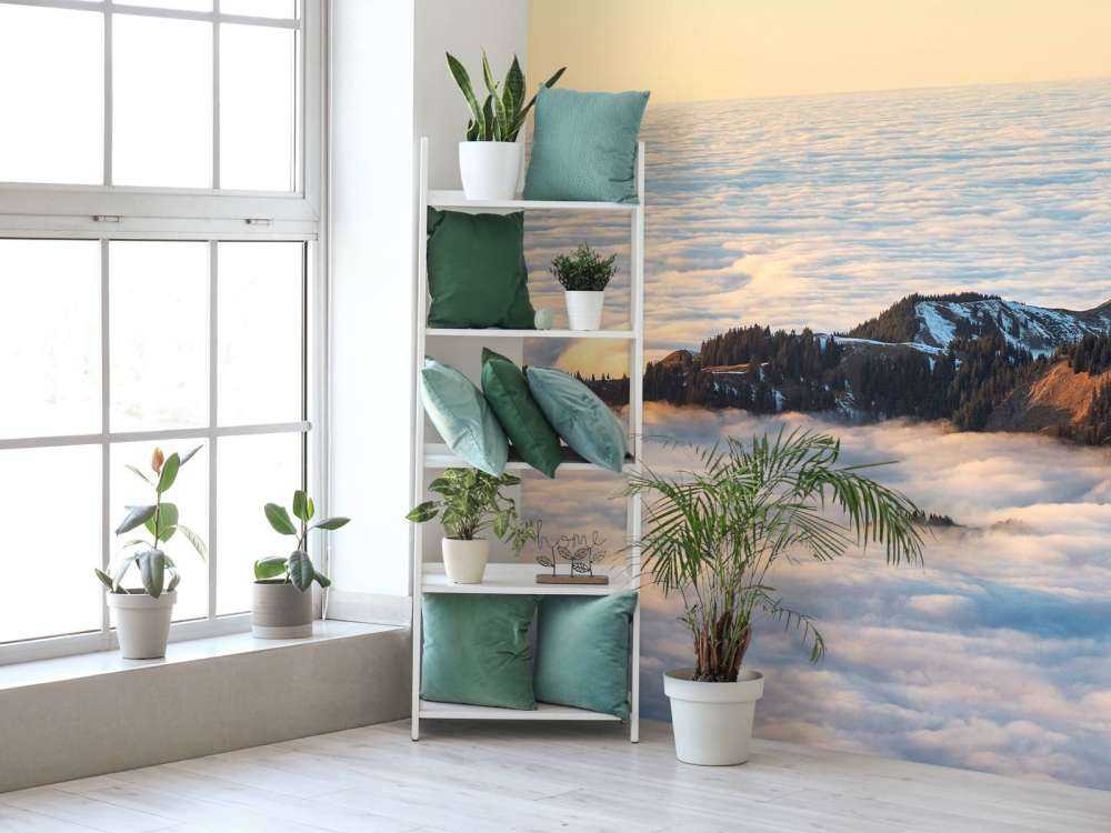 Bergkam flottant dans la mer de nuages