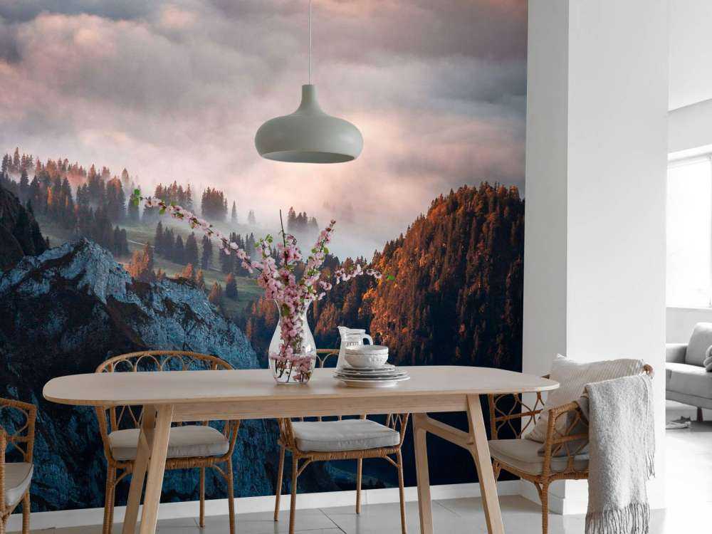 Lisière de forêt dans la brume du matin.