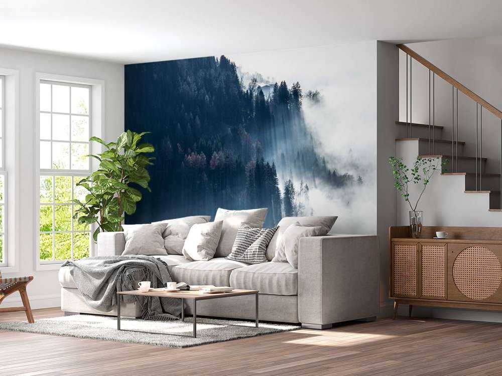 Lumière du matin dans la forêt brumeuse.