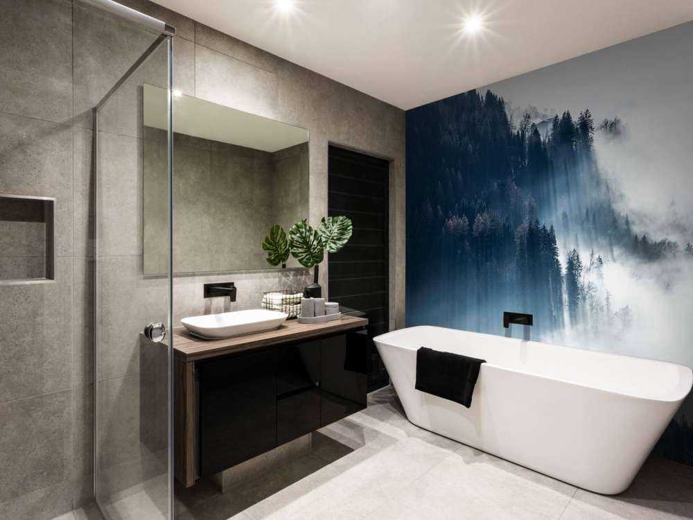 Lumière du matin dans la forêt brumeuse.