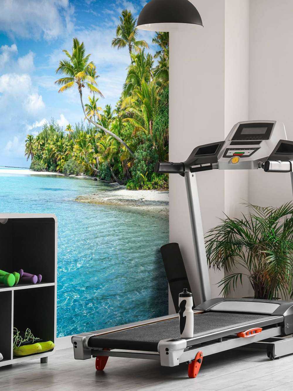 Plage tropicale claire avec des palmiers