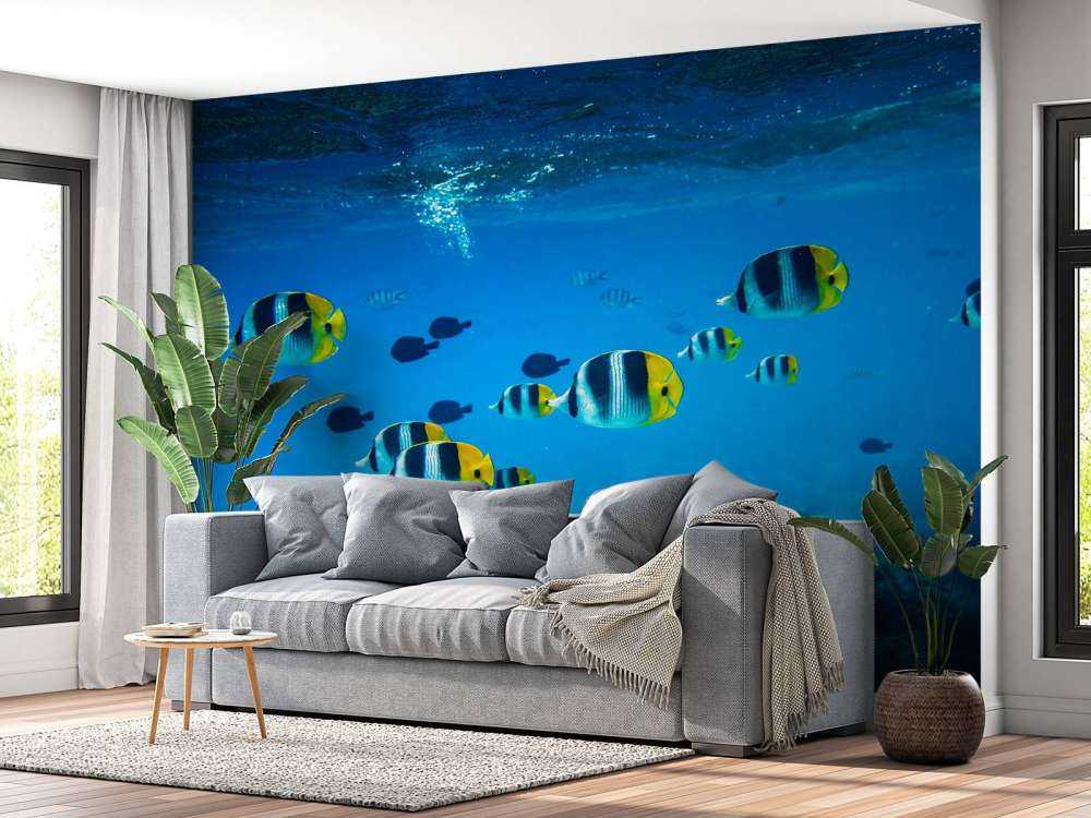 Poissons de récif tropicaux dans l'eau bleu clair