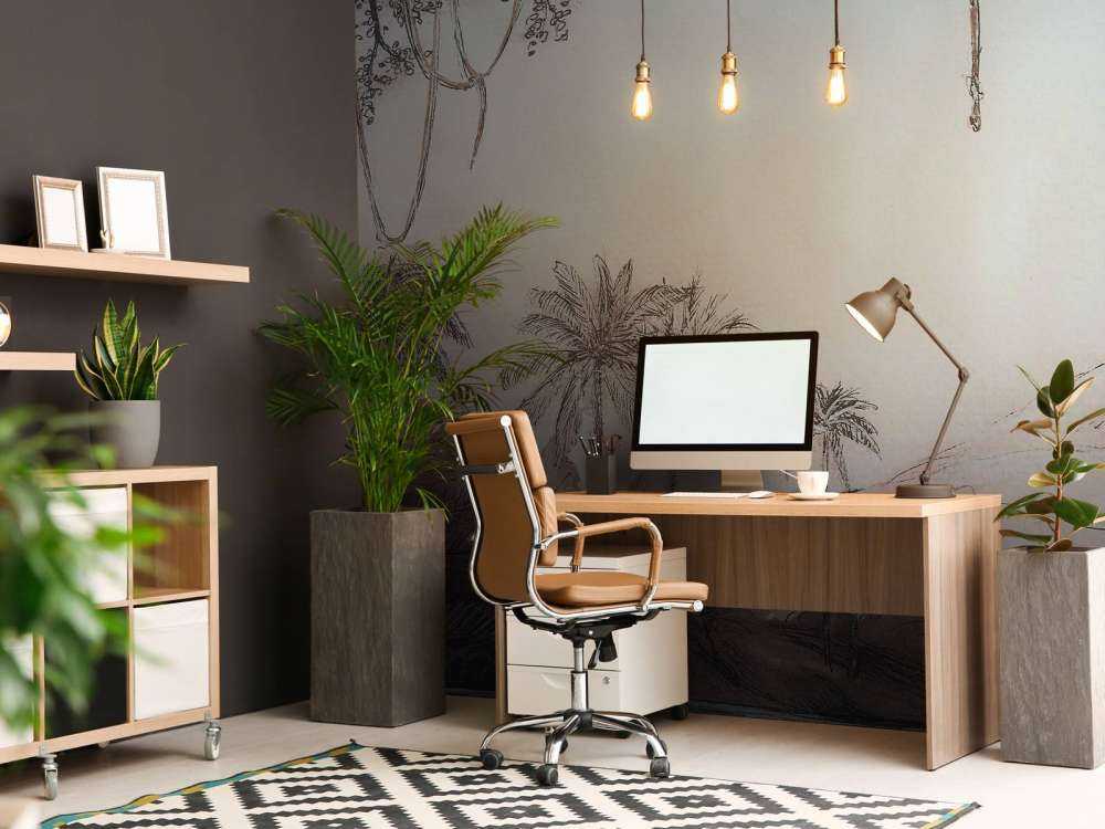 Vallée des palmiers dans la lumière rose