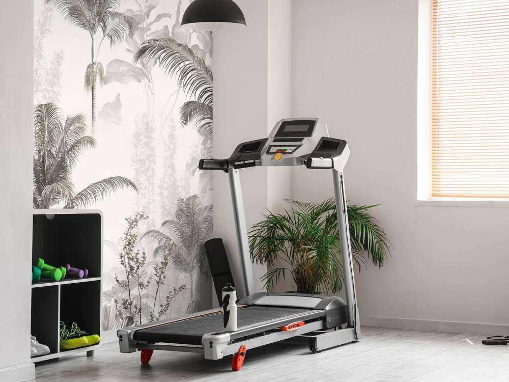 Douce sérénité botanique