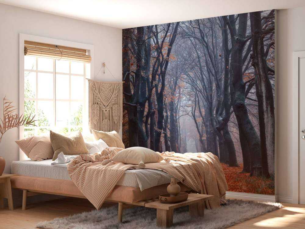 Chemin forestier avec des feuilles