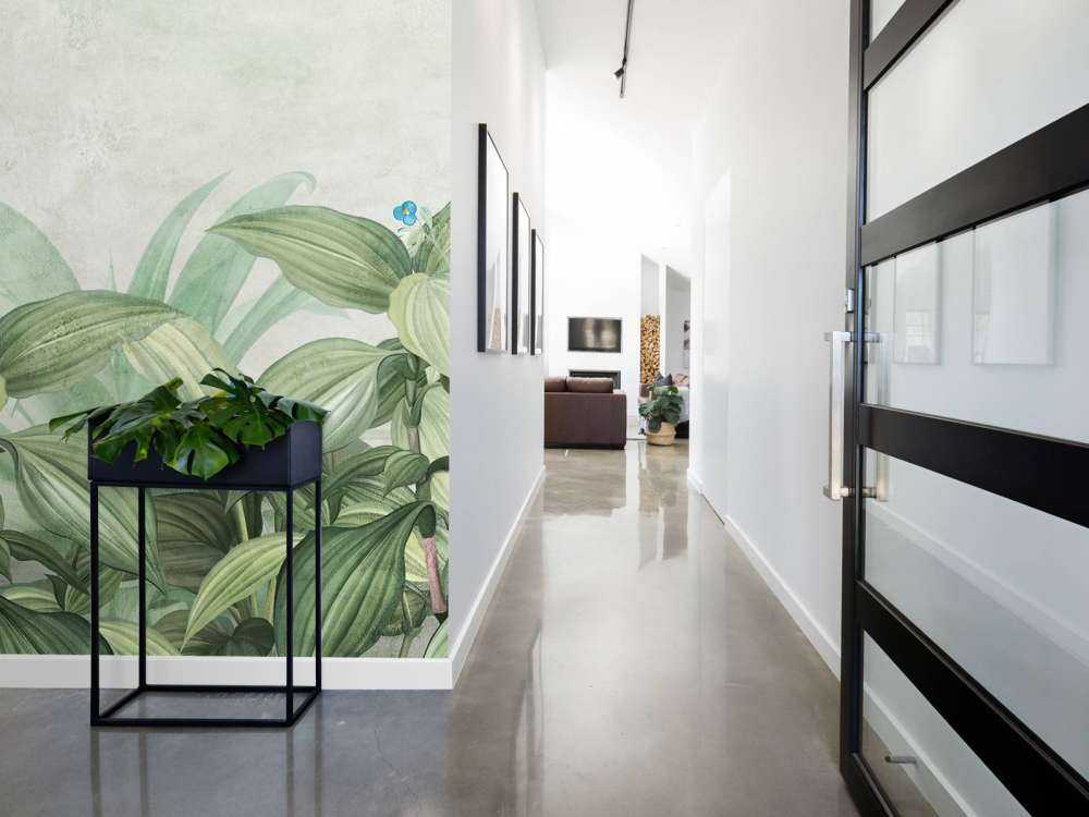 Herbe à mouche avec des fleurs