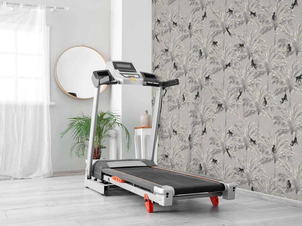 Singes tropicaux - gris