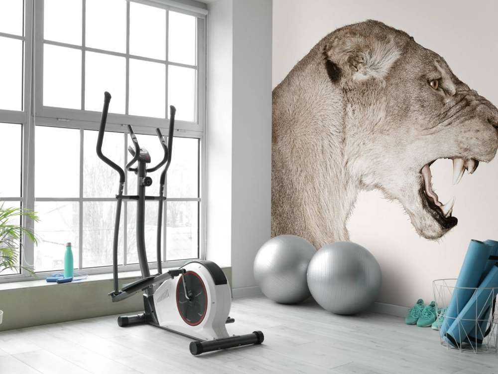 Lionne vue de côté blanc cassé