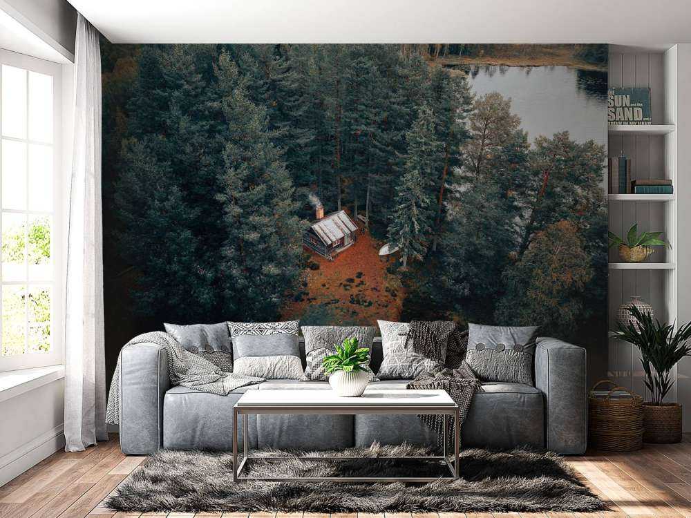 Cabane entourée de forêts et de lacs