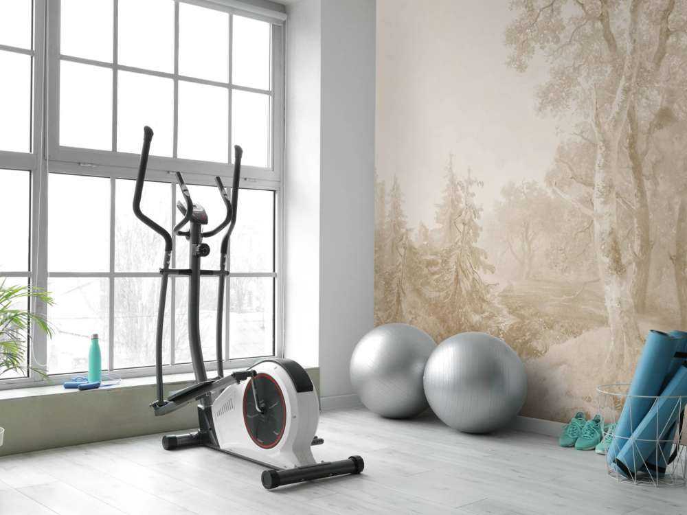 Paysage forestier beige #1