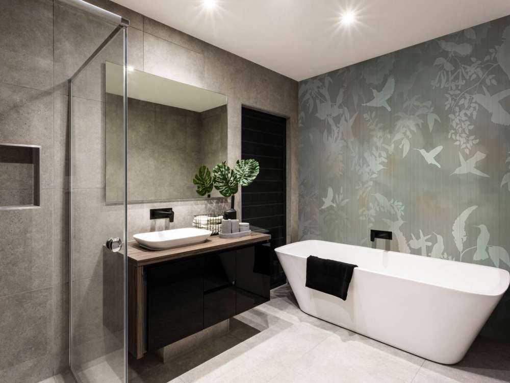 Bırds ın the fog 3