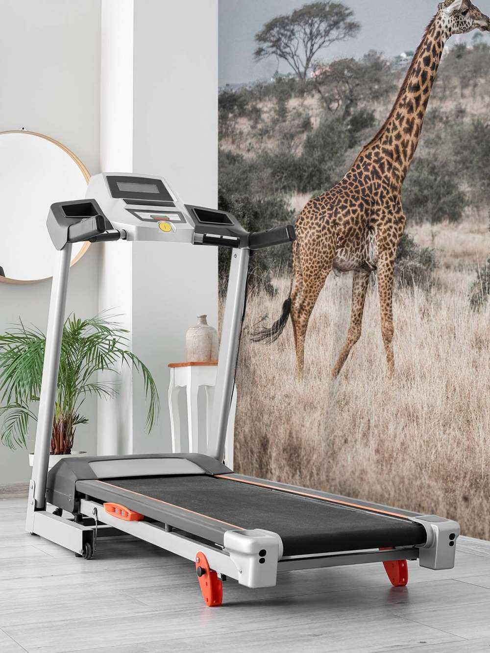 Portrait de girafe