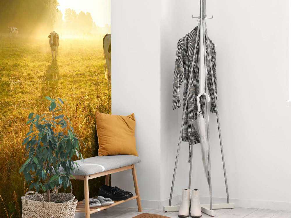 Vache au lever du soleil