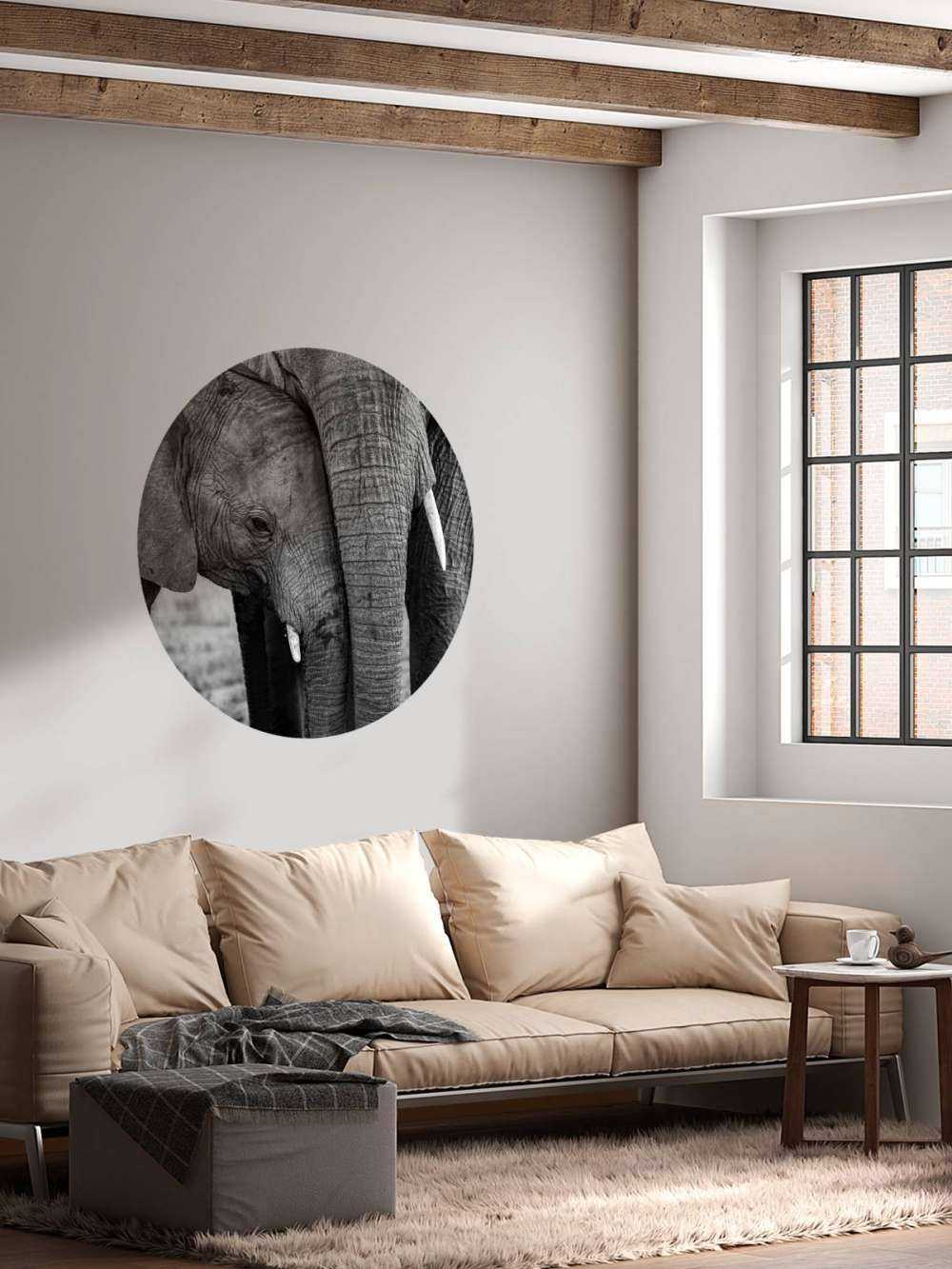 Câliner les éléphants