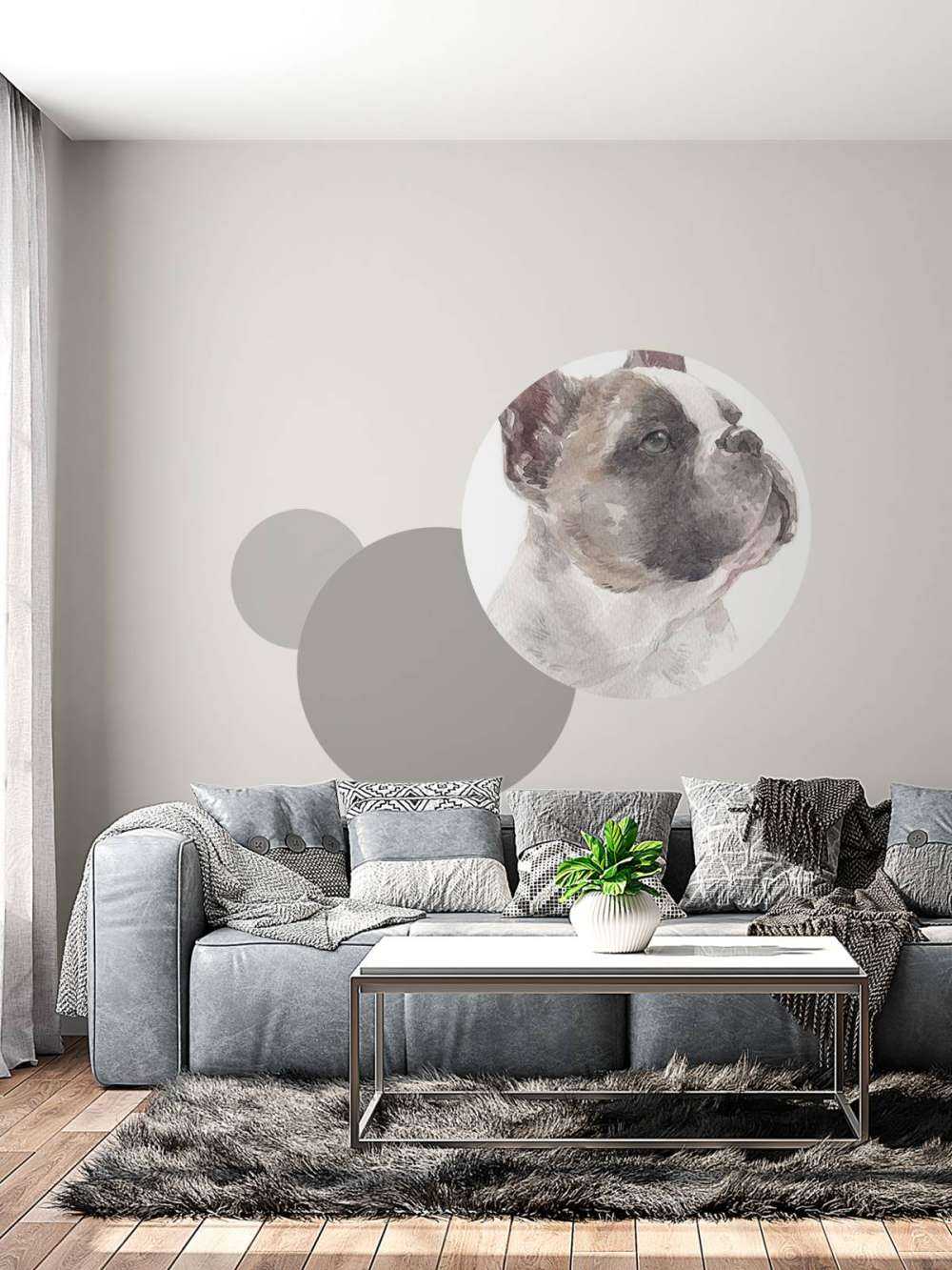 Aquarelle Bouledogue français