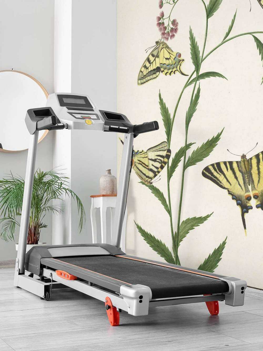 Quatre papillons sur des fleurs, Paulus Knogh