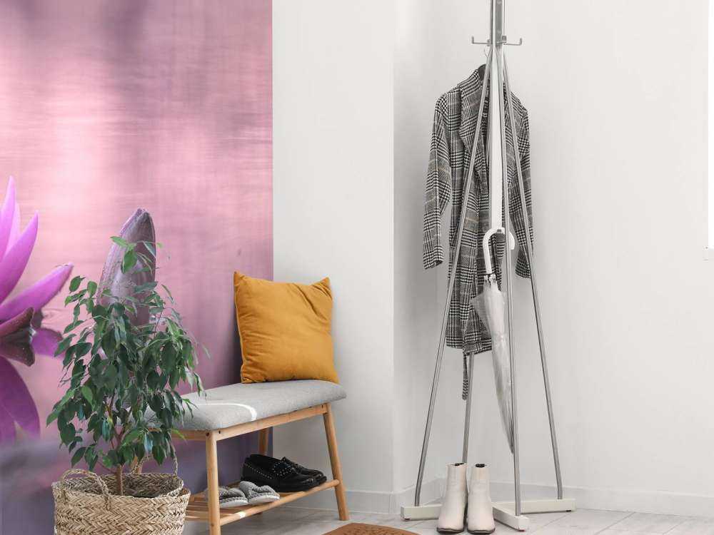 Fleur de lotus dans un étang