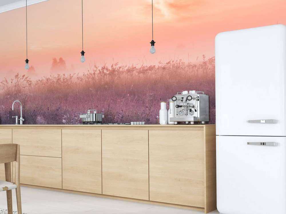 Champ avec brume du matin