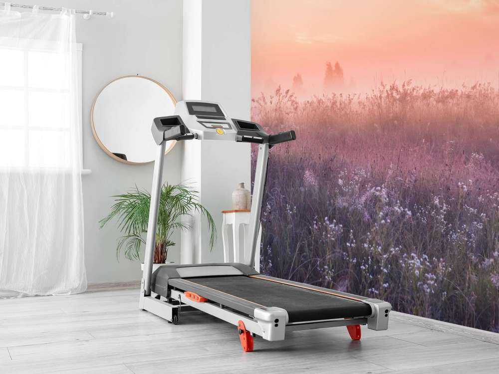 Champ avec brume du matin