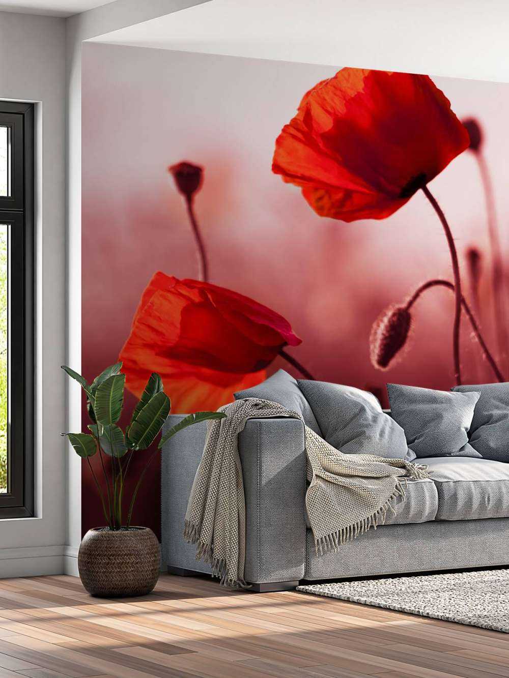 Des coquelicots dans la prairie