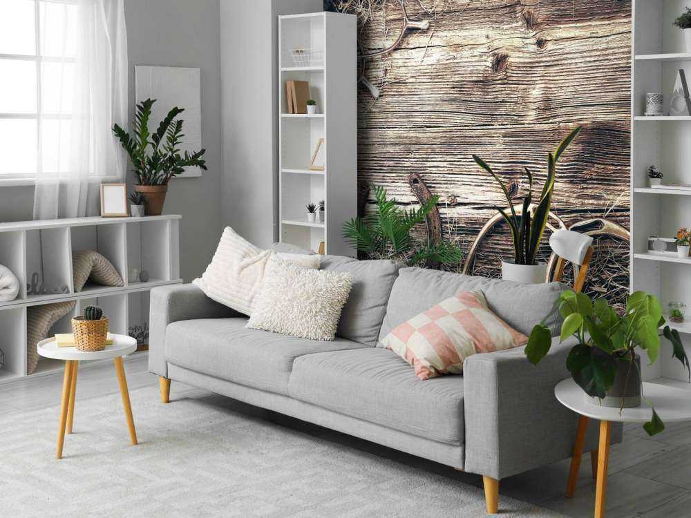 Équipement pour les chevaux