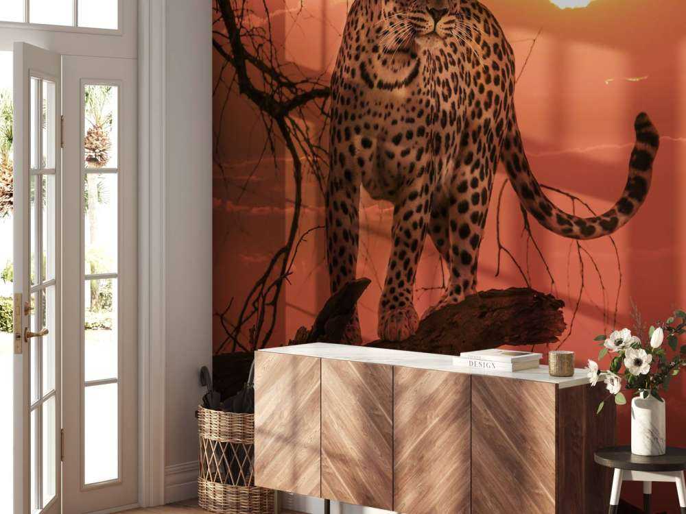 Léopard sous le soleil couchant