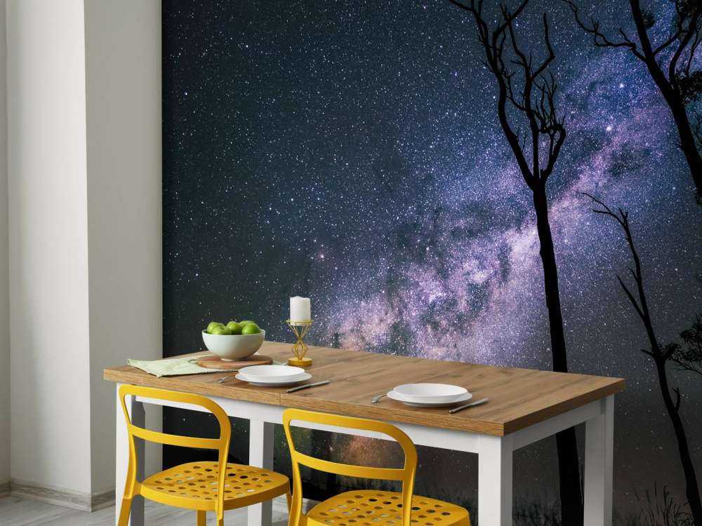 Des étoiles entre les arbres