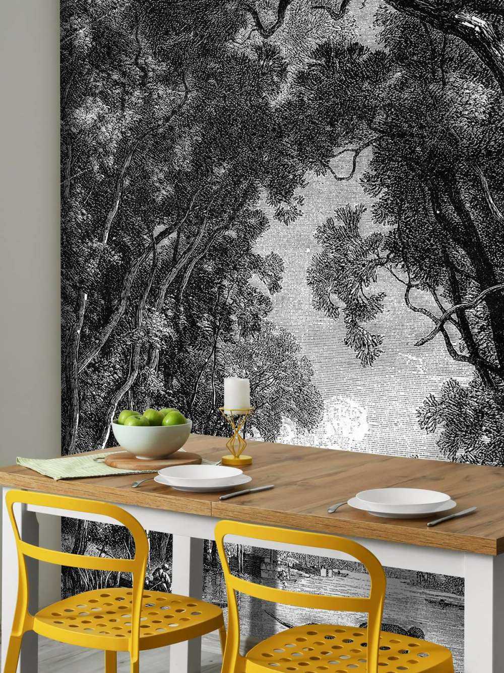 Une vieille rivière dans la jungle