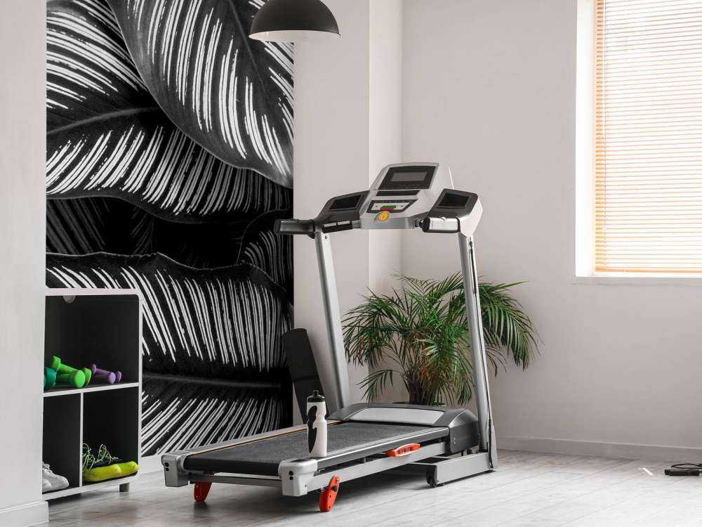 Feuilles de palmier noires et blanches