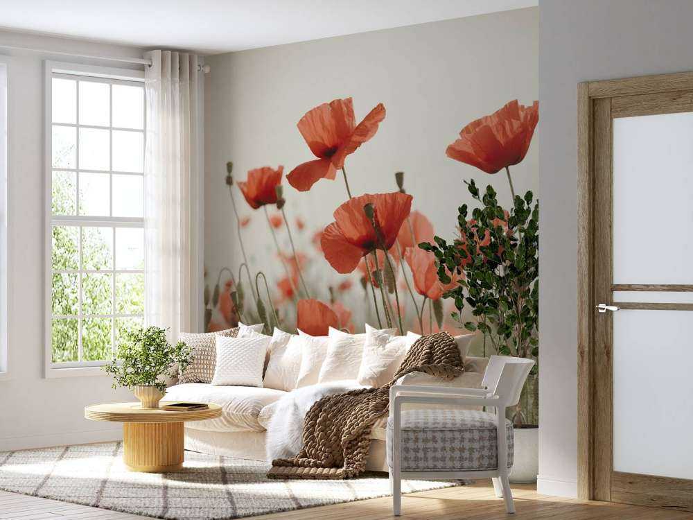 Coquelicots aux couleurs vintage