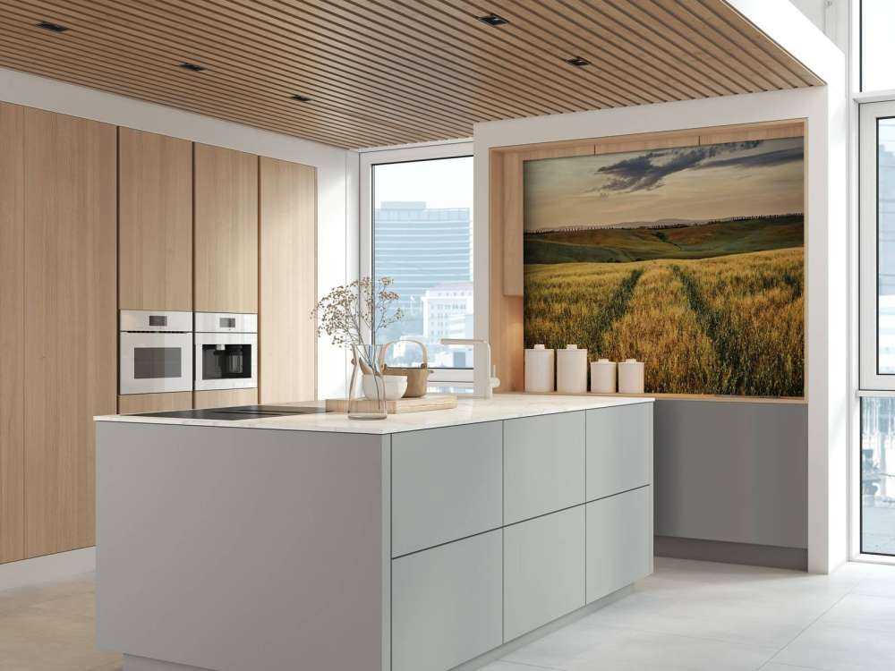 Champ de céréales avec traces