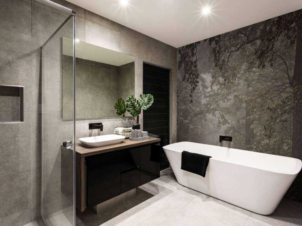 Chemin à travers la forêt brumeuse