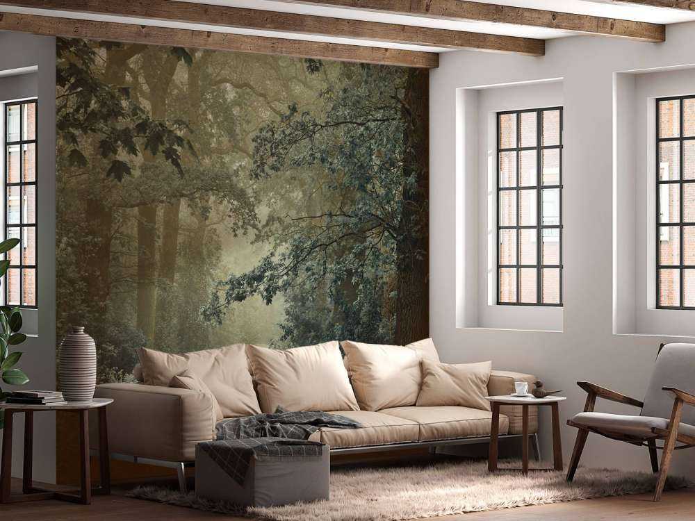 Chemin à travers la forêt avec du brouillard